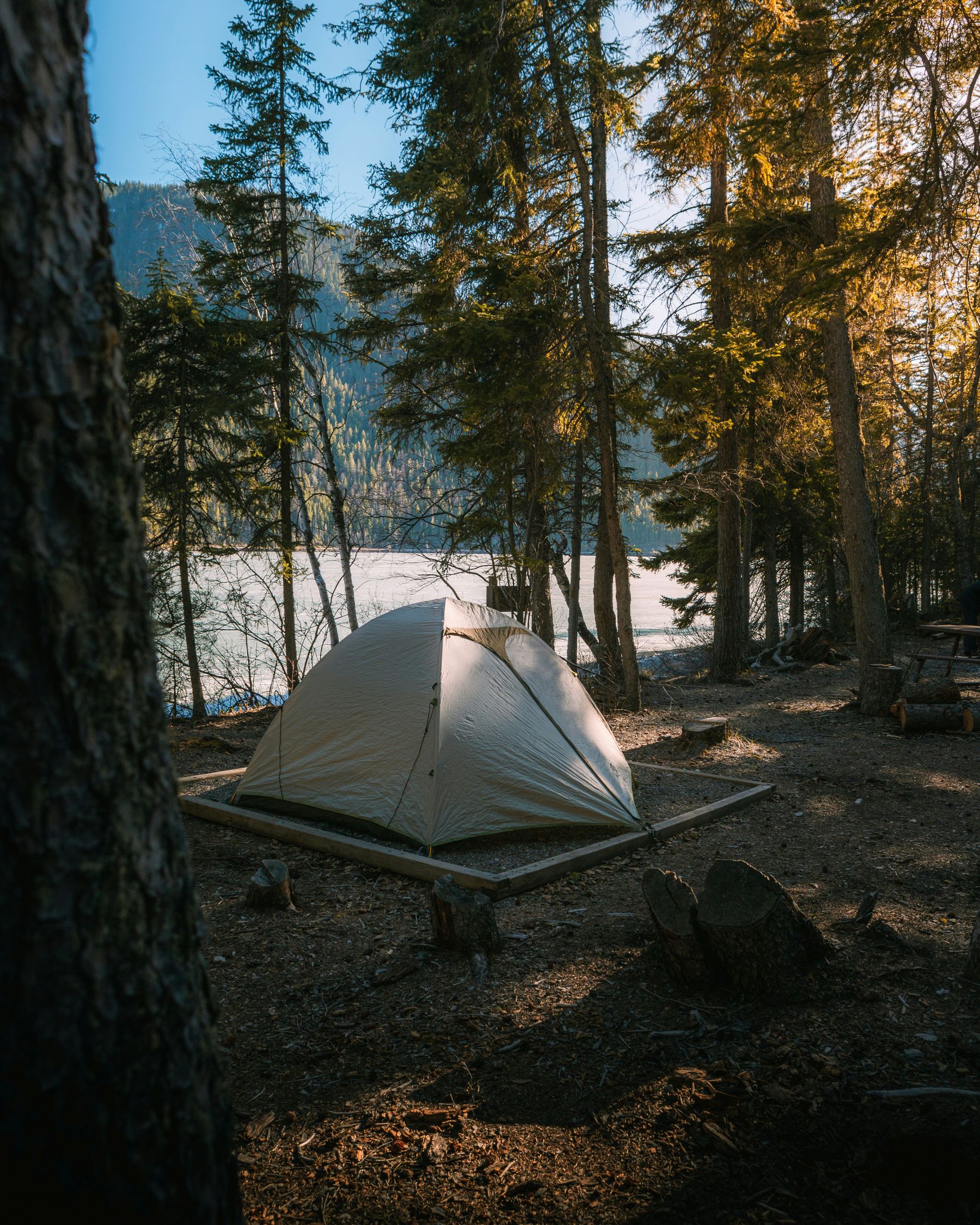 Camping Trip