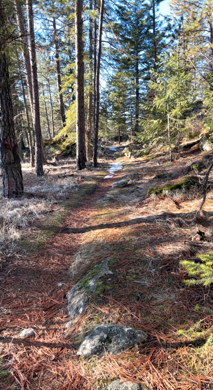 Guided Hiking Trips