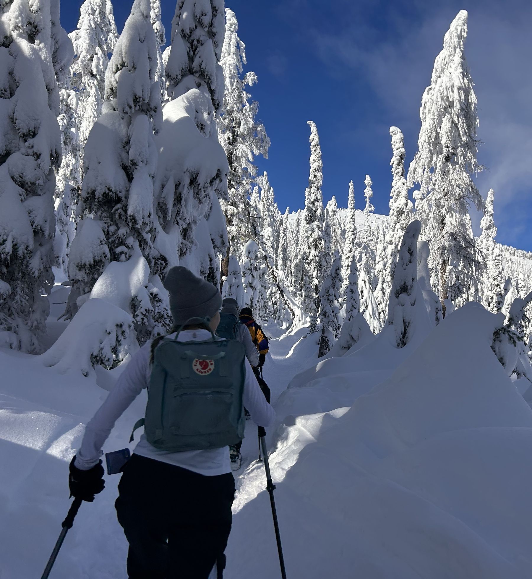 Snowshoeing Adventures